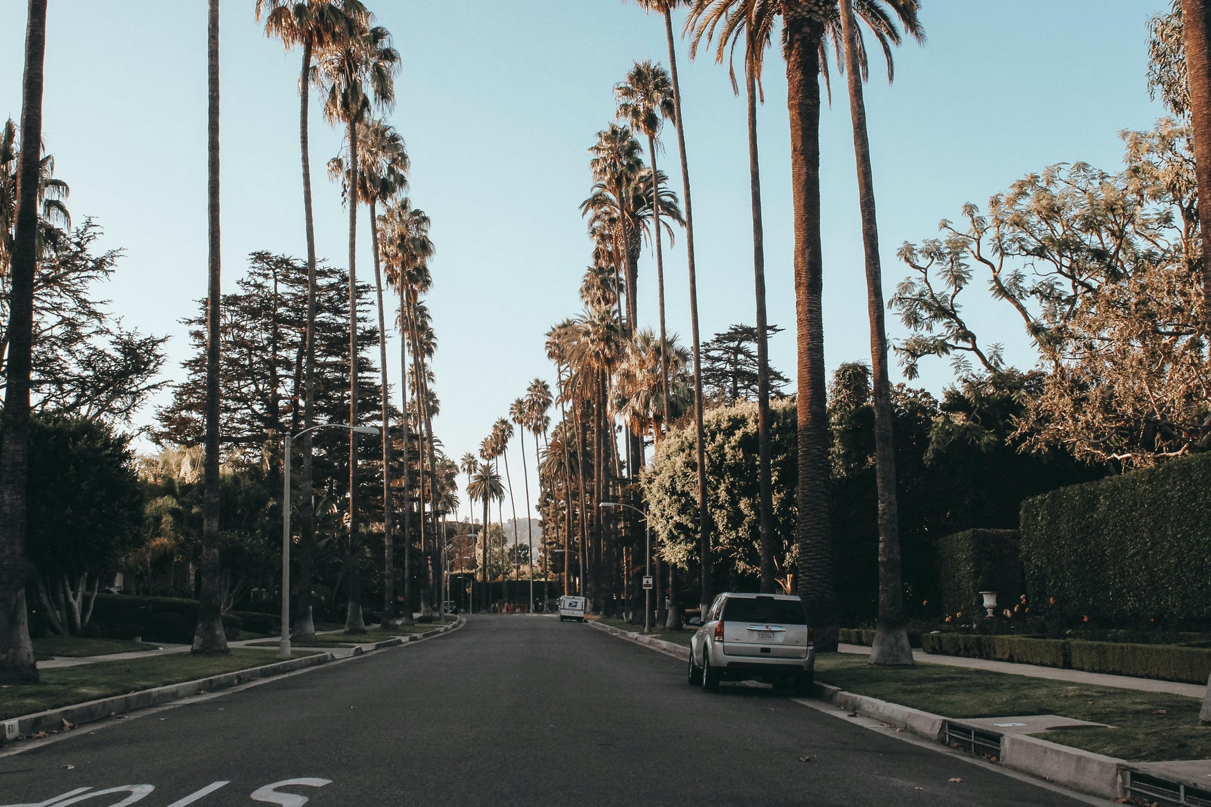 Street lined with palm trees on a clear day